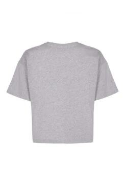 Mia T-Shirt Grey Embroidered -Top Sell Dress Sales Store T02G005 Z45 21880 650px 964px